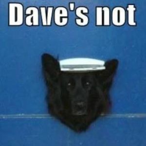 Meet your Posher, David